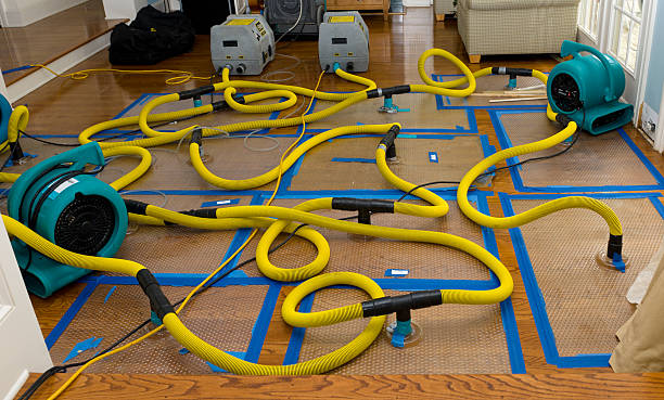Professional Emergency Water Removal technician working in Miamiville, OH